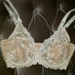 Wacoal sexy push up lace Bra size 34 DD